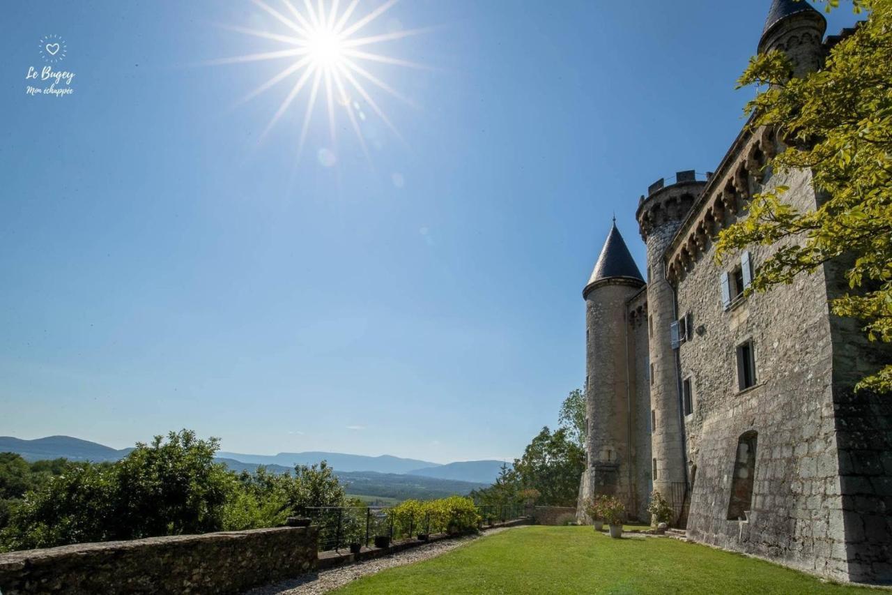 Appartement De Charme Au Pied Du Grand Colombier Culoz Exterior foto